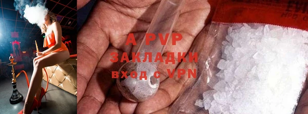 стаф Горно-Алтайск