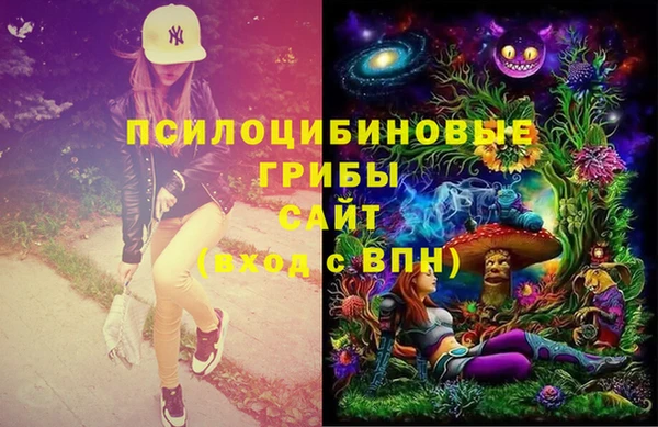 стаф Горно-Алтайск
