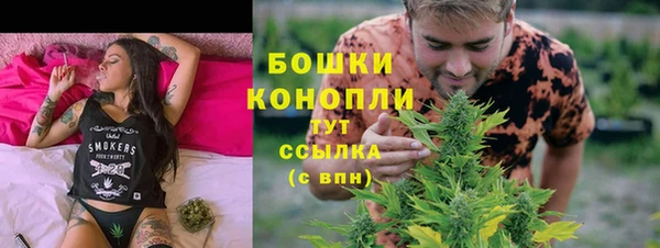 стаф Горно-Алтайск